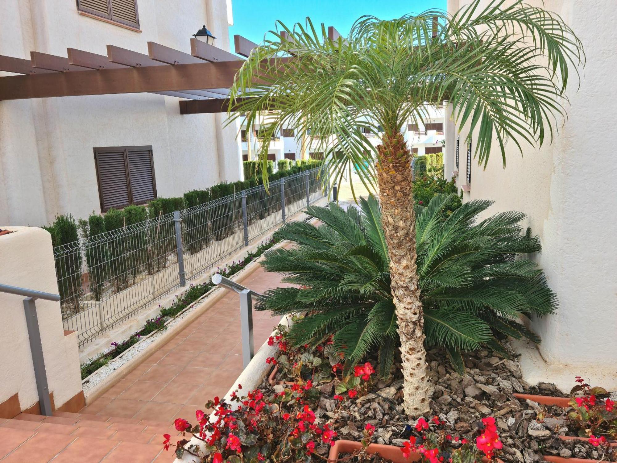 El Sueno San Juan De Los Terreros Exterior foto